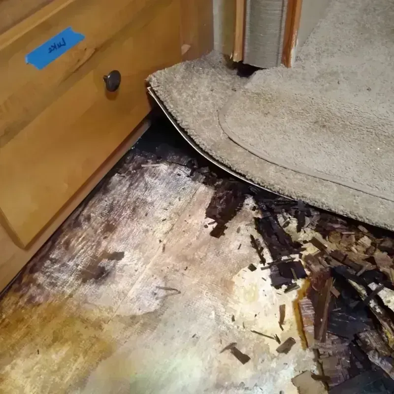 Wood Floor Water Damage in Fulton, MD